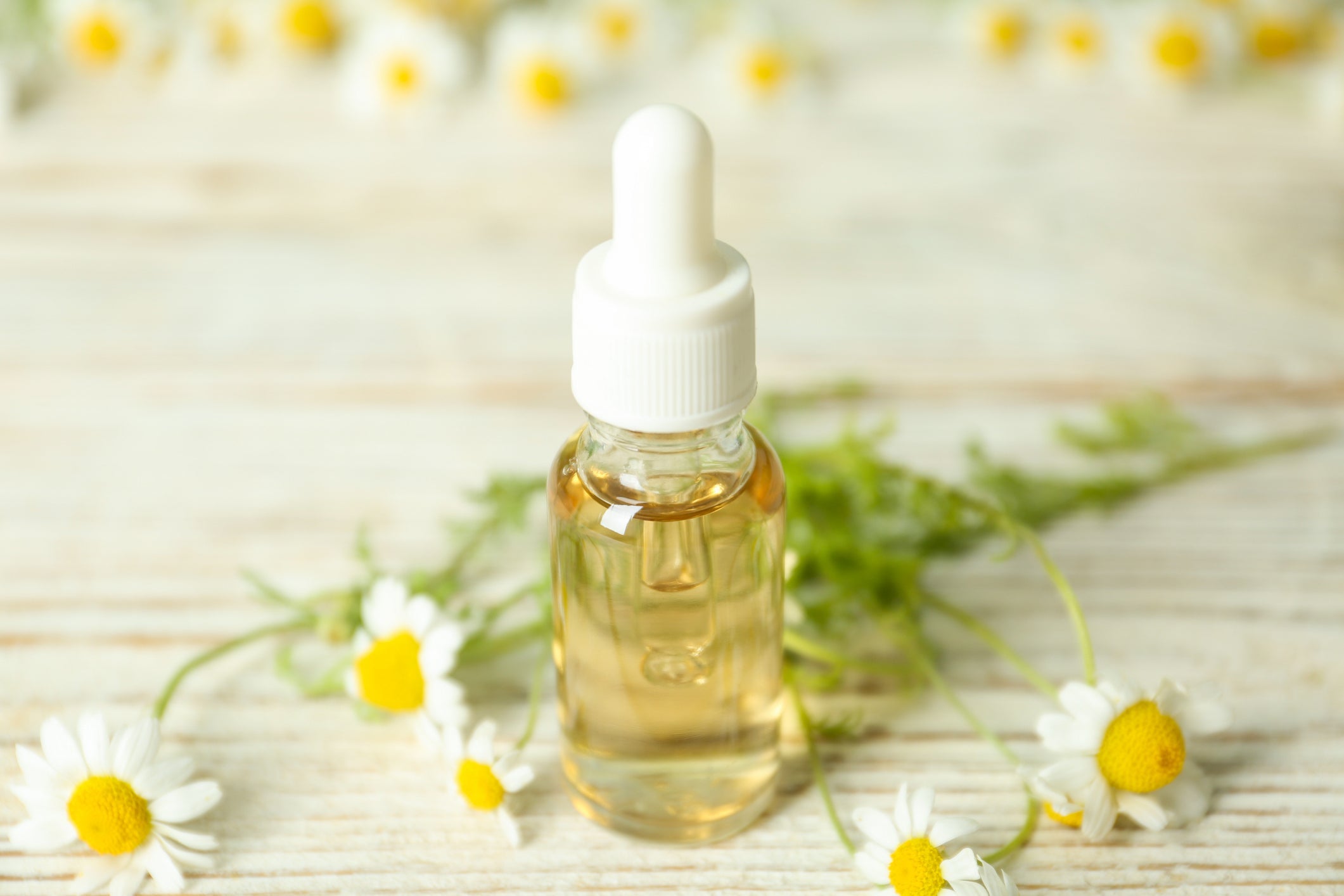 BODY OILS & CREAMS