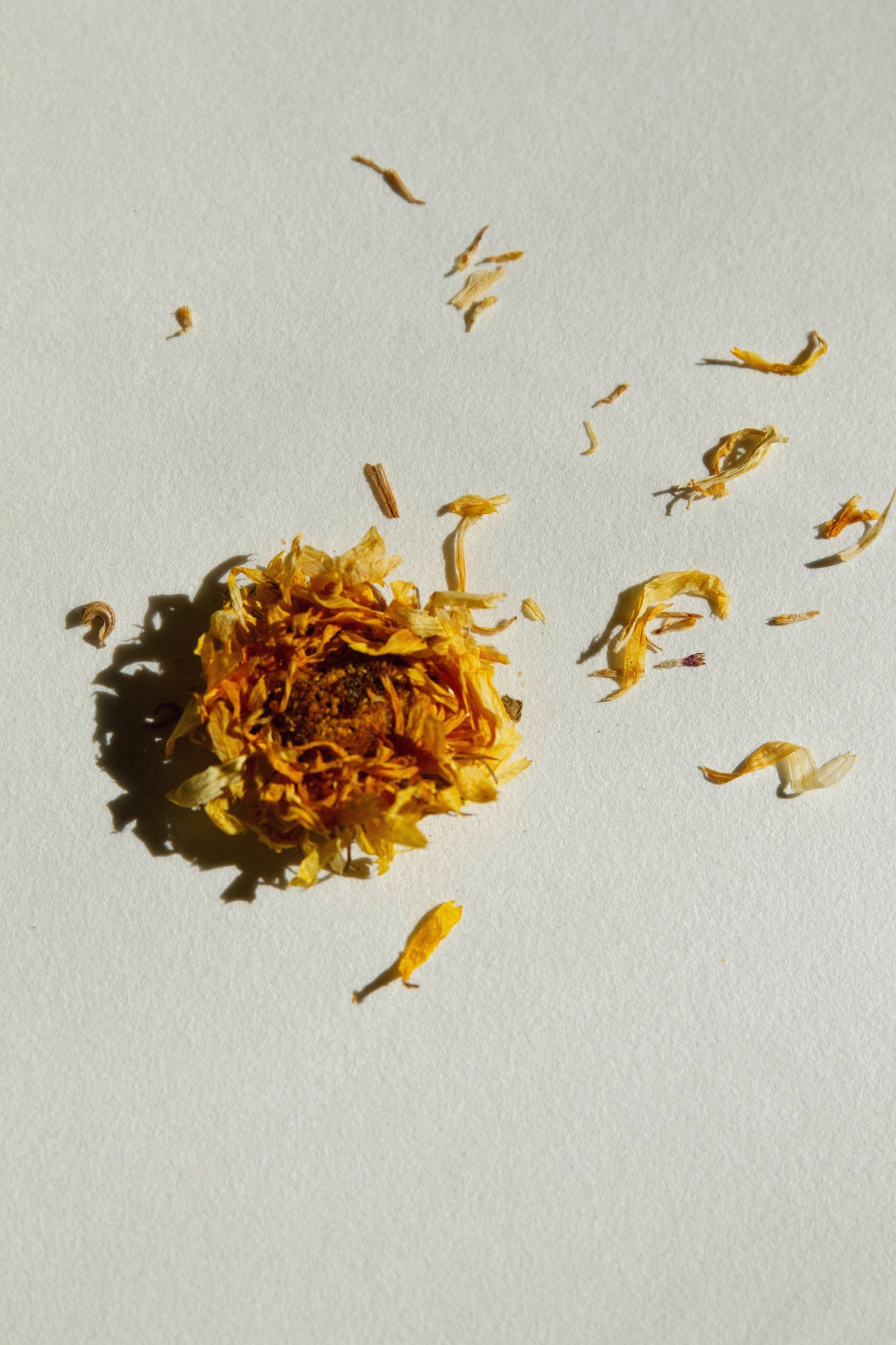 SUMMER SOLACE Tallow Balm | Masculin Féminin Patchouli & Hinoki