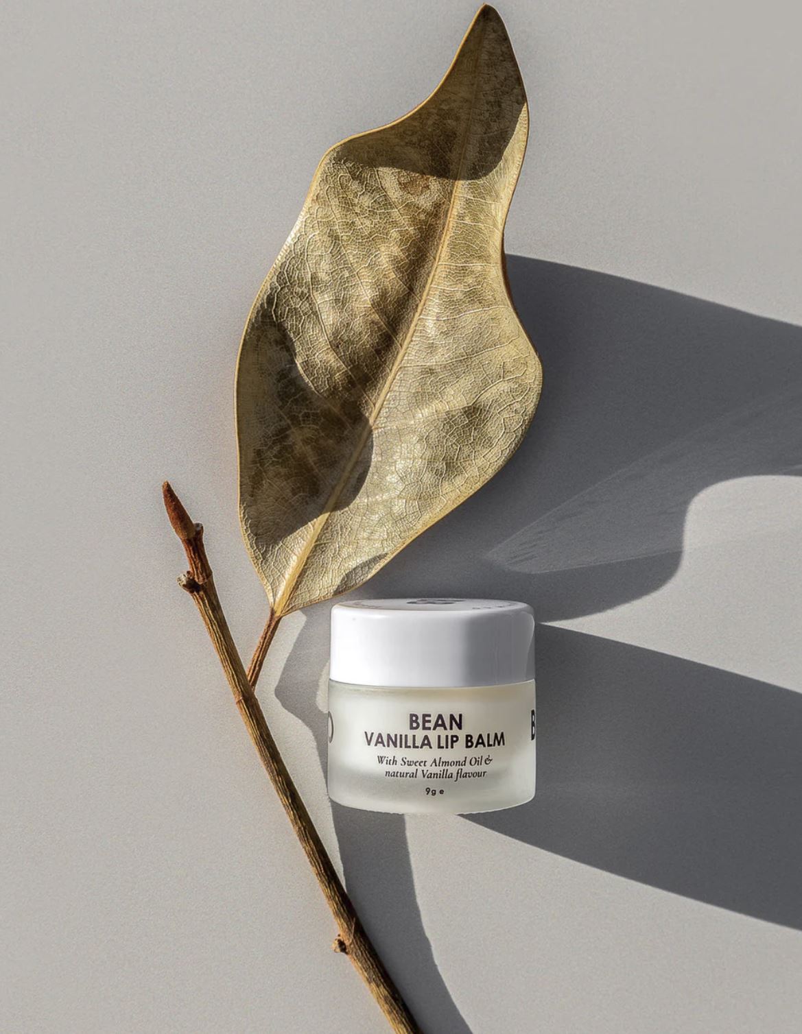 BALM BALM CO. Bean | Vanilla Lip Balm