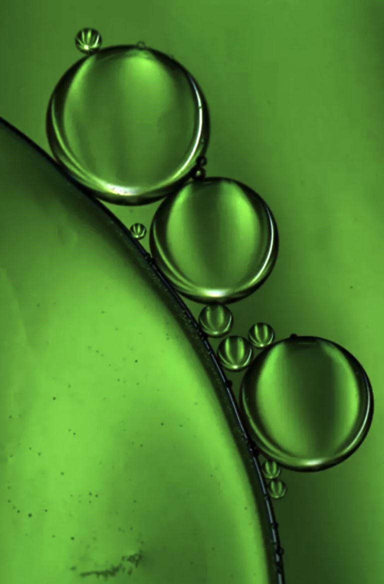 GRACIOUS MINDS Photosynthesis Retinol Alternative Elixir