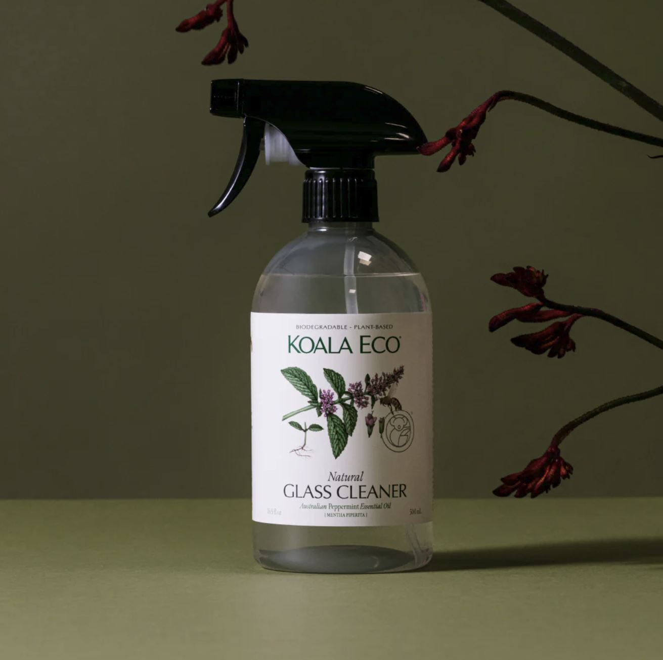 KOALA ECO Glass Cleaner