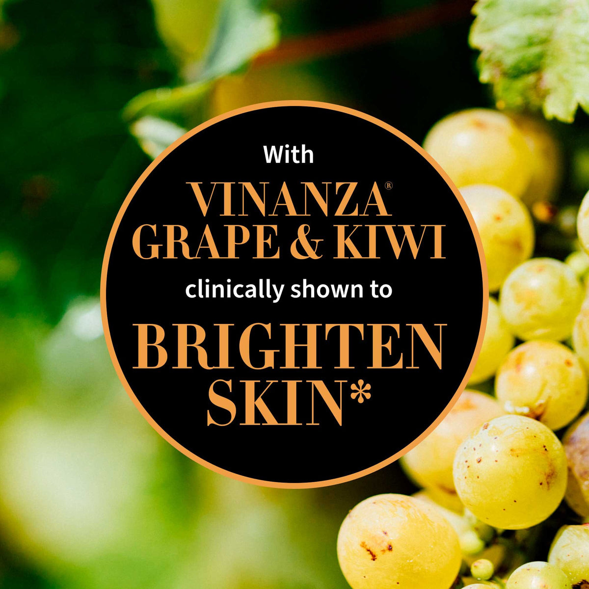 Antipodes Kiwi Seed Gold Luminous Eye Cream - Lavender Living